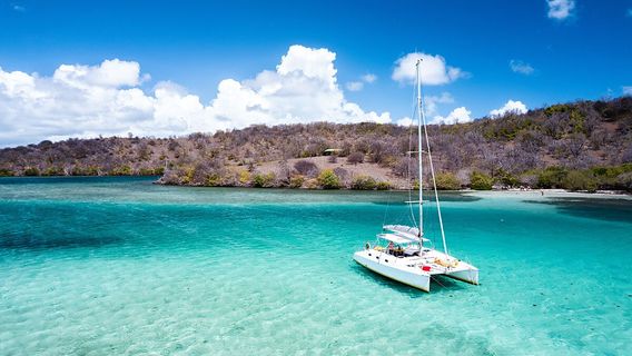Sorties catamaran Martinique : Ty Domino