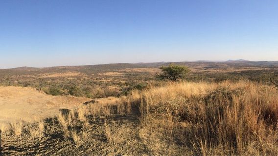 Nambiti Big 5 Private Game Reserve