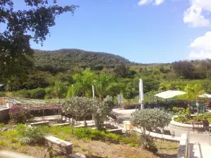 Coamo Hot Spring Pools