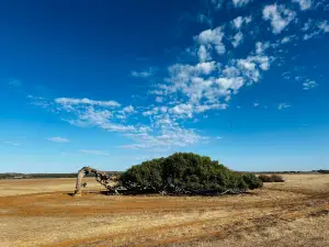 Greenough Wildlife & Bird Park