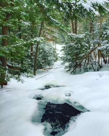 Western Uplands Backpacking Trail