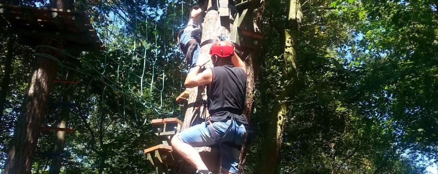 Rope Park Toucan