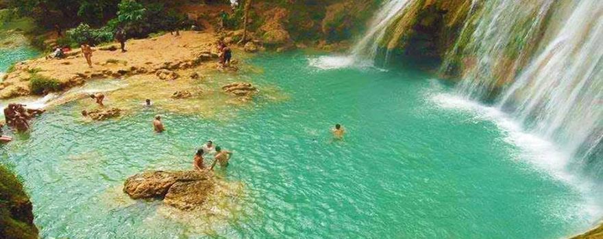 Dominicus