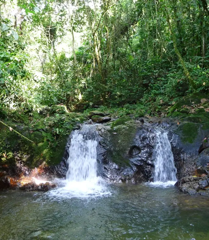 Balsapuerto