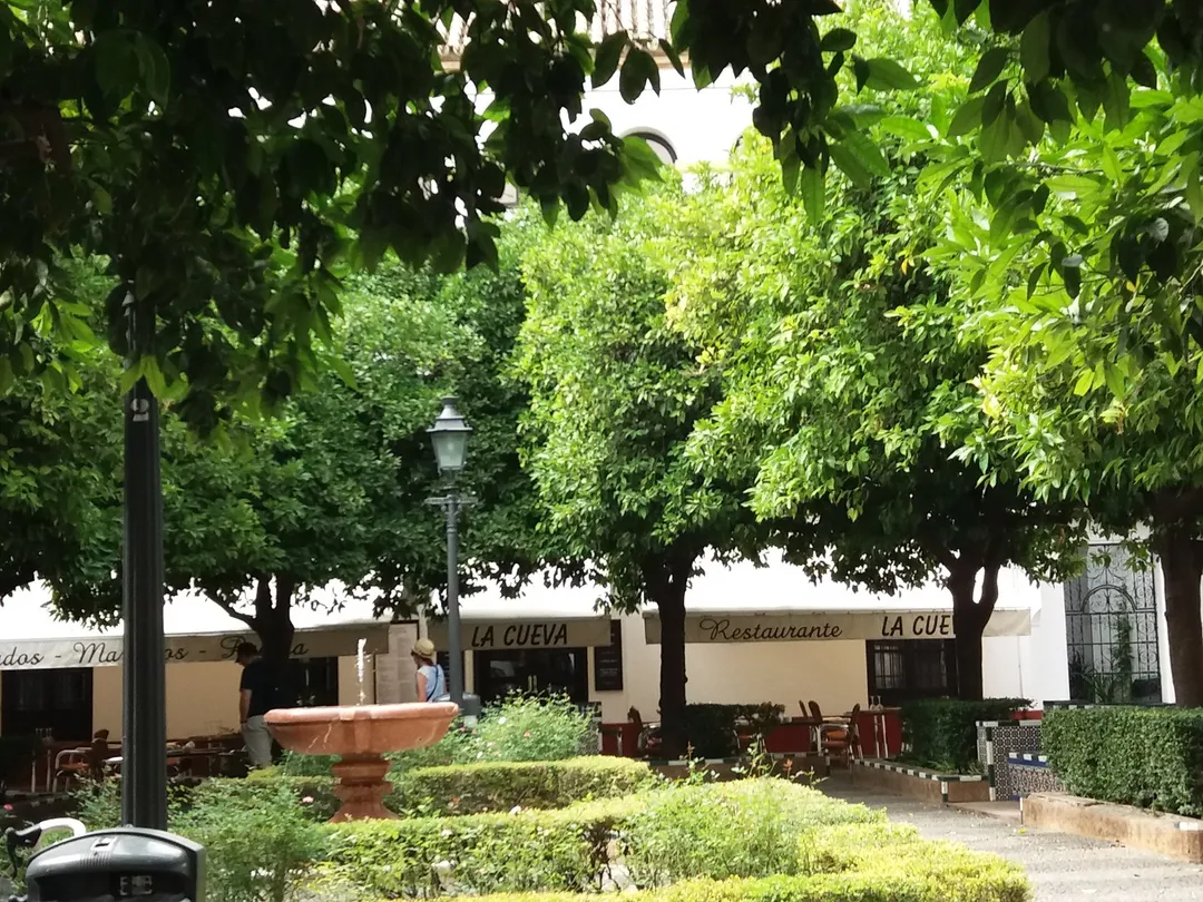 1_Plaza de Dona Elvira