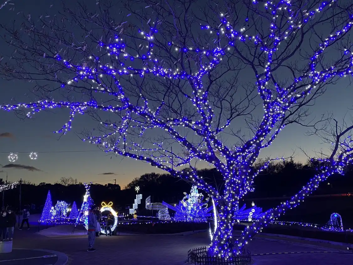 Hotel in zona Marie Gold Nooka Park