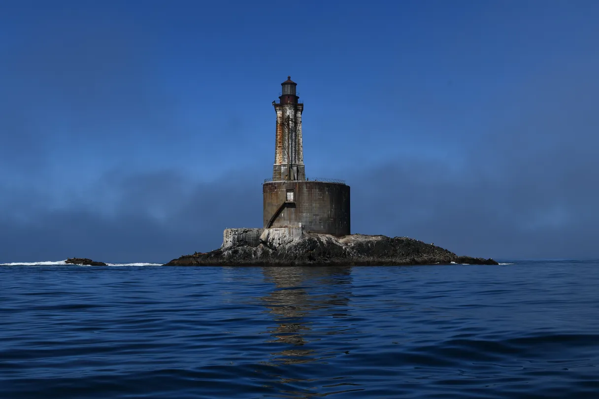 2_Stella's Adventures