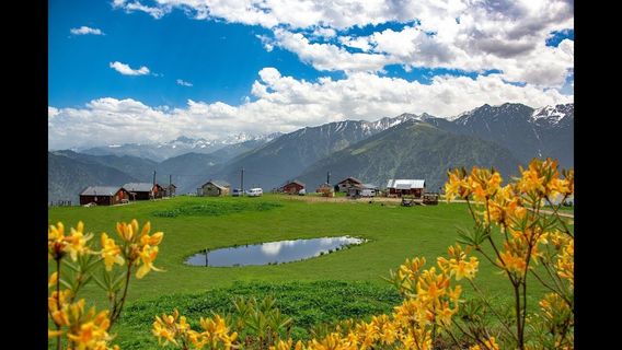 Gito yaylasi cici baba dağevi