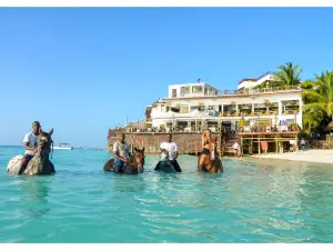 Zanzibar Horse Club