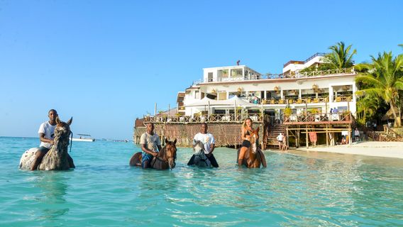 Zanzibar Horse Club