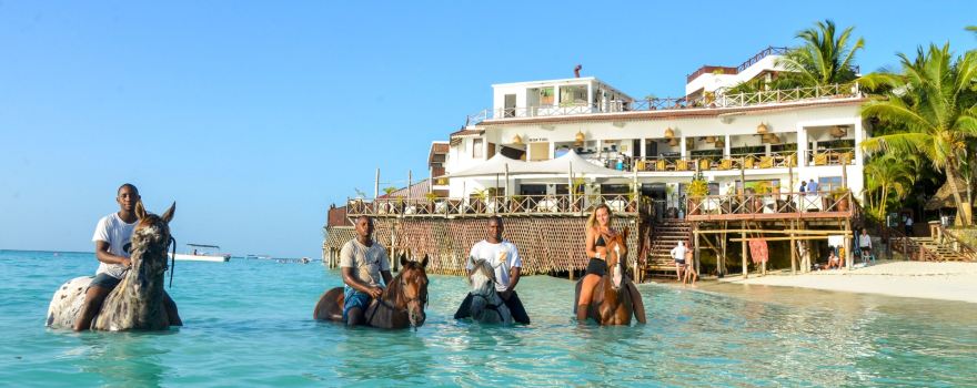 Zanzibar Horse Club