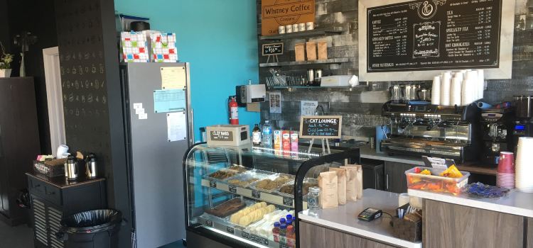 The Purrfect Cup - A Cat Cafe
