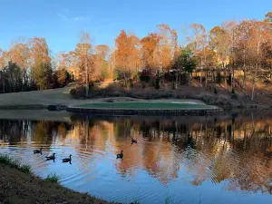River Forest Golf Club