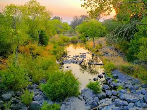 Upper Bidwell Park