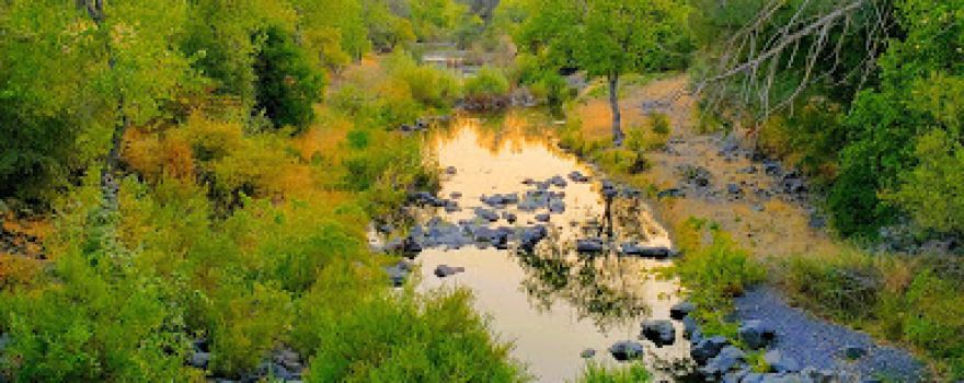Upper Bidwell Park