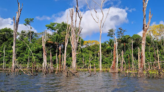 Parque da Orla de Porto Grande