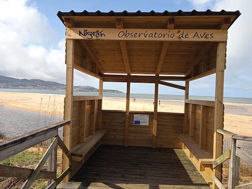 Ecosistema Dunar Praia América Panxón