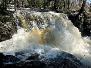 Wyandotte Falls