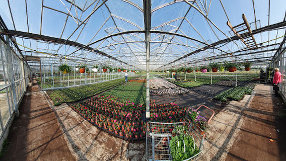 Moss Bank Nurseries Ltd
