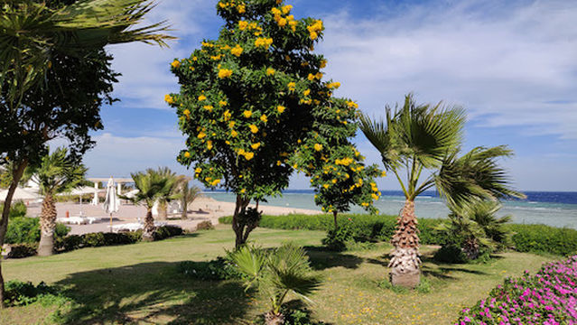 Extra Divers Equinox Marsa Alam