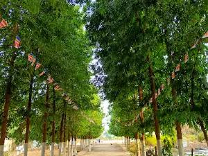 Sindapuri Buddha vihar