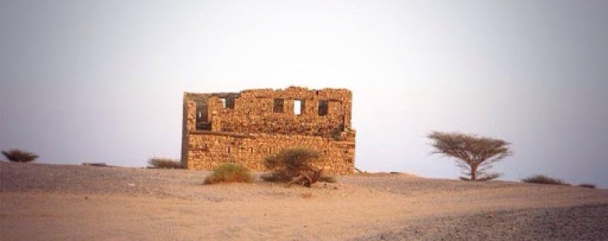 قصر ابوطقيقه Palace of Abotqiqah