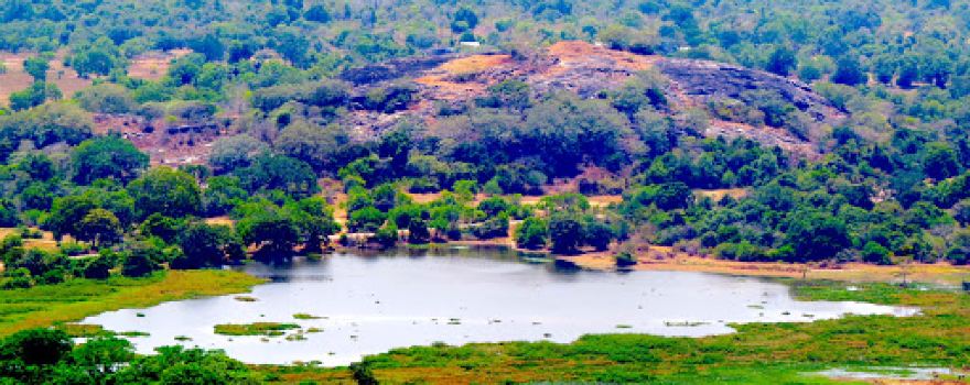 Akasa Chaithya