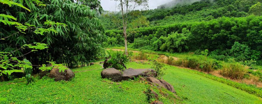 Khu du lịch sinh thái nhà vườn Đức Đường
