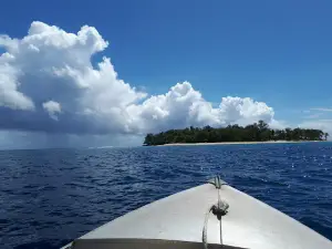Dany Island