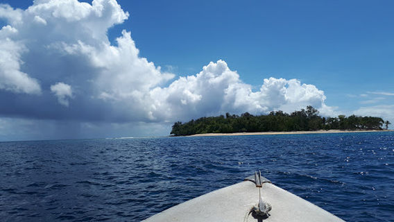 Dany Island