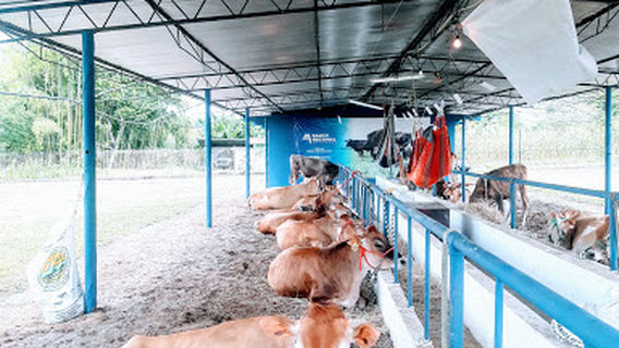 Feria de la Candelaria
