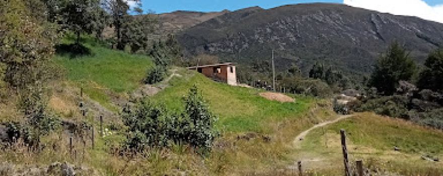 Cafetería Sofía