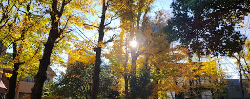 Nishinohara Central Park