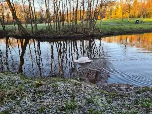 Portlaoise Town Park