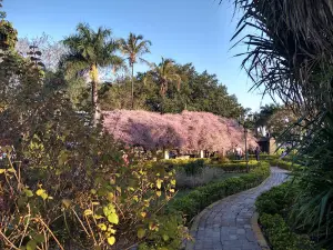 Praça da Fonte Luminosa