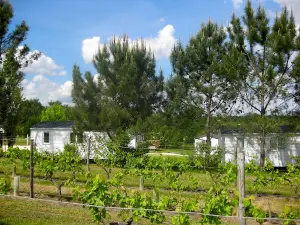 Camping La Motte