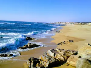 Paisagem Protegida Regional do Litoral de Vila do Conde e Reserva Ornitológica de Mindelo