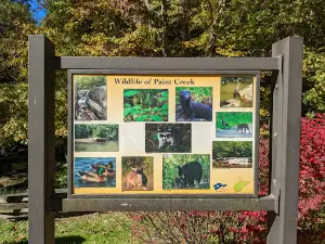 Paint Creek Park