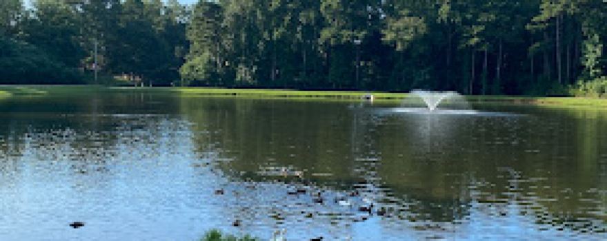 American Veterans Memorial Park