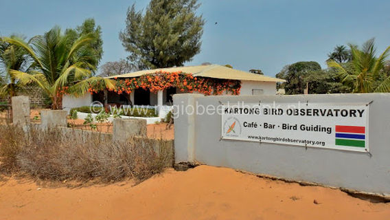 Kartong Bird Observatory