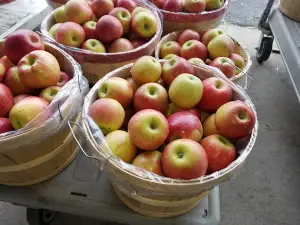 Murphy Orchard