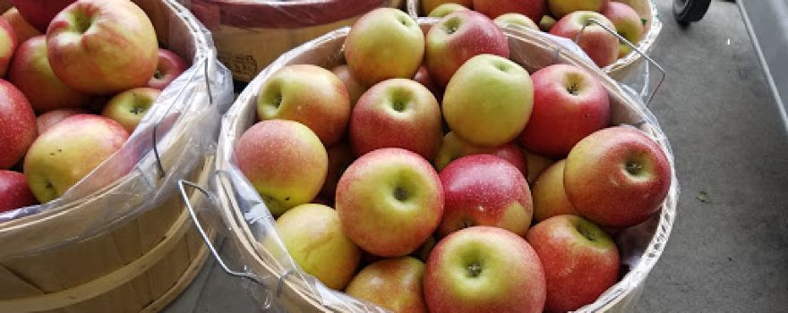 Murphy Orchard