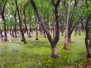 Shekha Bird Sanctuary