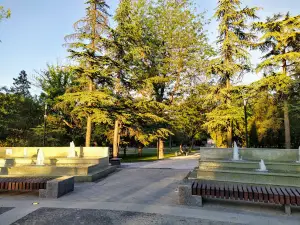 Tsentral'nyi park kul'tury i vidpochynku