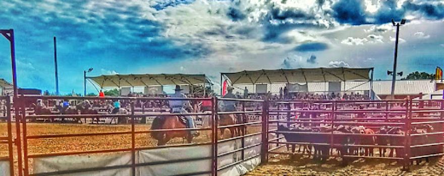 Goshen Stampede