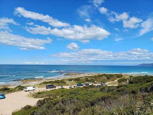 Shelly Point -