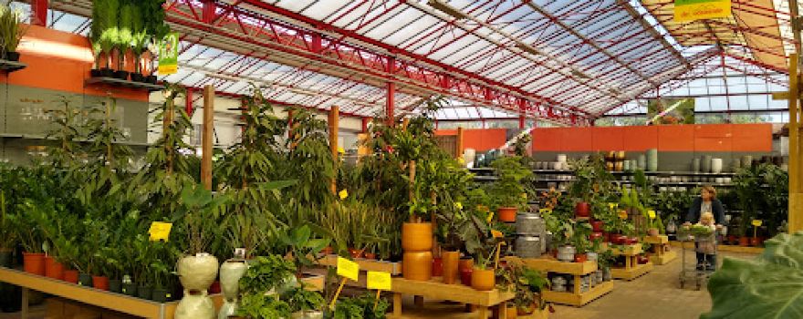 Garden Center De Oosteinde Vijfhuizen