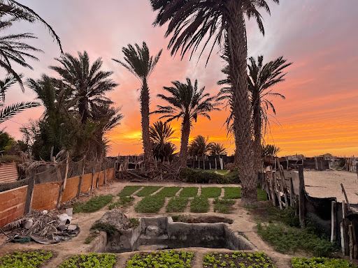 Jeddah to Nouadhibou Flights