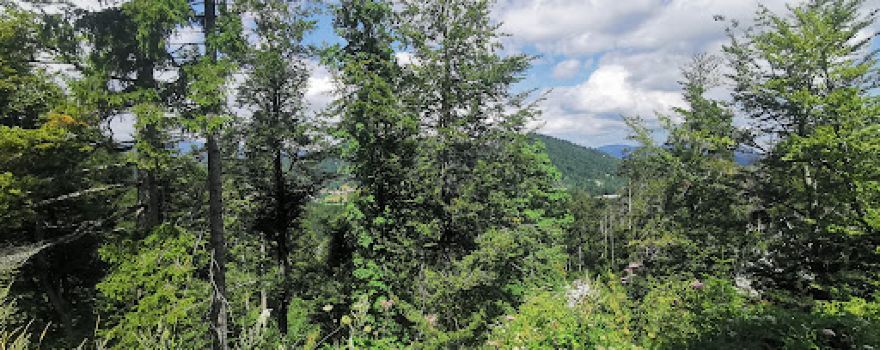 Staza spilja - Bunker na Bukovcu