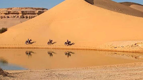 Al Fayyum